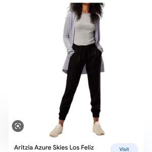 Aritzia Azure Skies Los Feliz pants. Black. Large